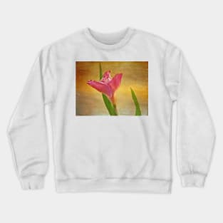 Golden Emanation Crewneck Sweatshirt